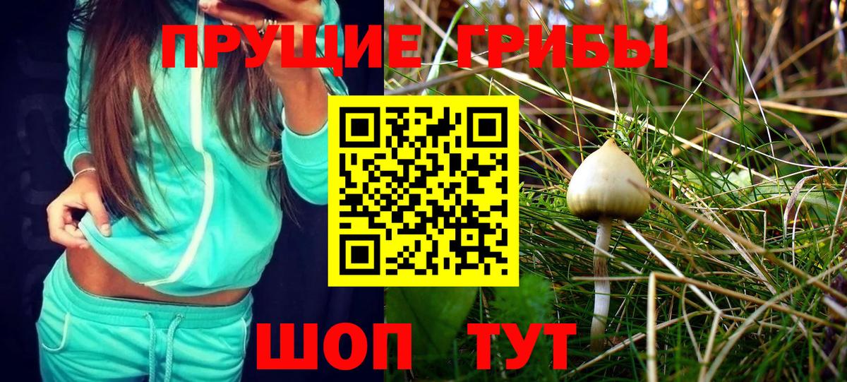 Галлюциногенные грибы MAGIC MUSHROOMS  Псилоцибиновые грибы GOLDEN TEACHER  Вход с VPN  Георгиевск 